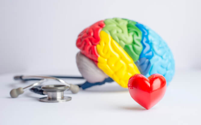 A colorful brain in rainbow hues alongside a heart, representing the harmony of thoughts and feelings